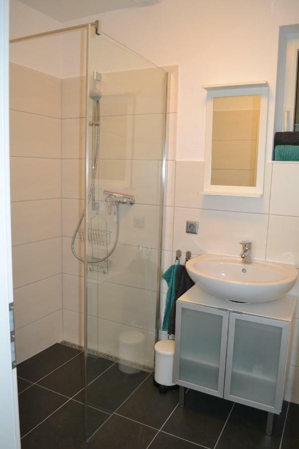 Apartment Fewo Grenzach Grenzach-Wyhlen